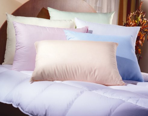 Секреты сна: как построить бизнес на подушках