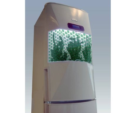 Холодильник для выращивания зелени