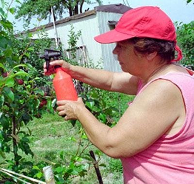 Хотите стать садоводом? «Young Urban Farmers» поможет