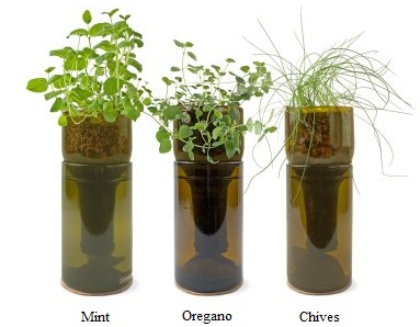 Выращивание зелени с помощью набора GrowBottle для гидропоники