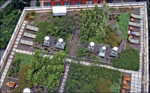 Огороды на городских крышах в Нидерландах