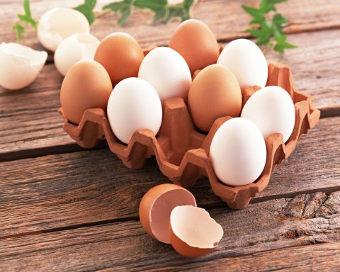 бизнес идея - заработок на куриных яйцах