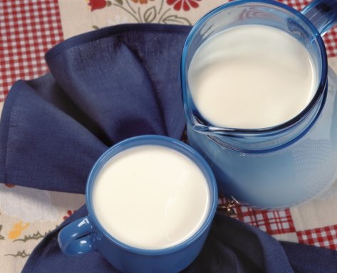 Как организовать бизнес по производству молока