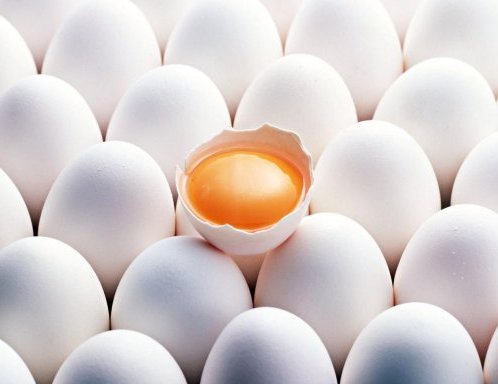 бизнес идея - реклама на яйцах 