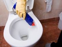 Средство для дезинфекции ободка туалета