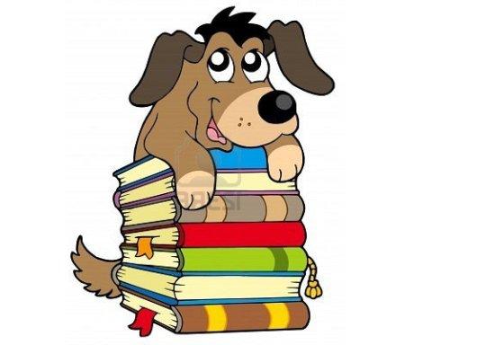 Бизнес идея: Как открыть издательство книг о собаках?