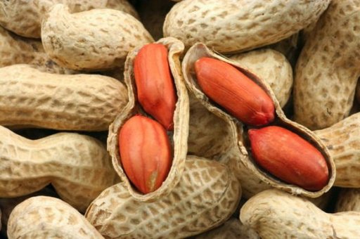Бизнес, основанный на выращивании арахиса