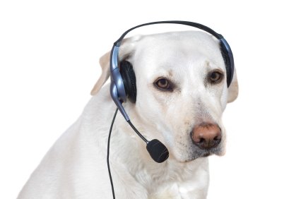Телефон для собак - любимец на связи