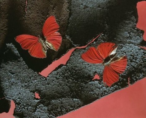 Бабочки – уникальная альтернатива воздушным шарикам