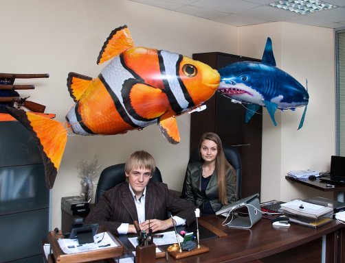 Радиоуправляемая рыбка – новая бизнес идея